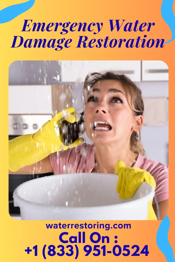 Emergency Water Damage Restoration in Carrollton, MS